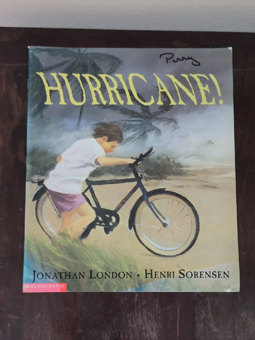 Scholastic Paperback Book Set of 12 Weather Themed Used Books